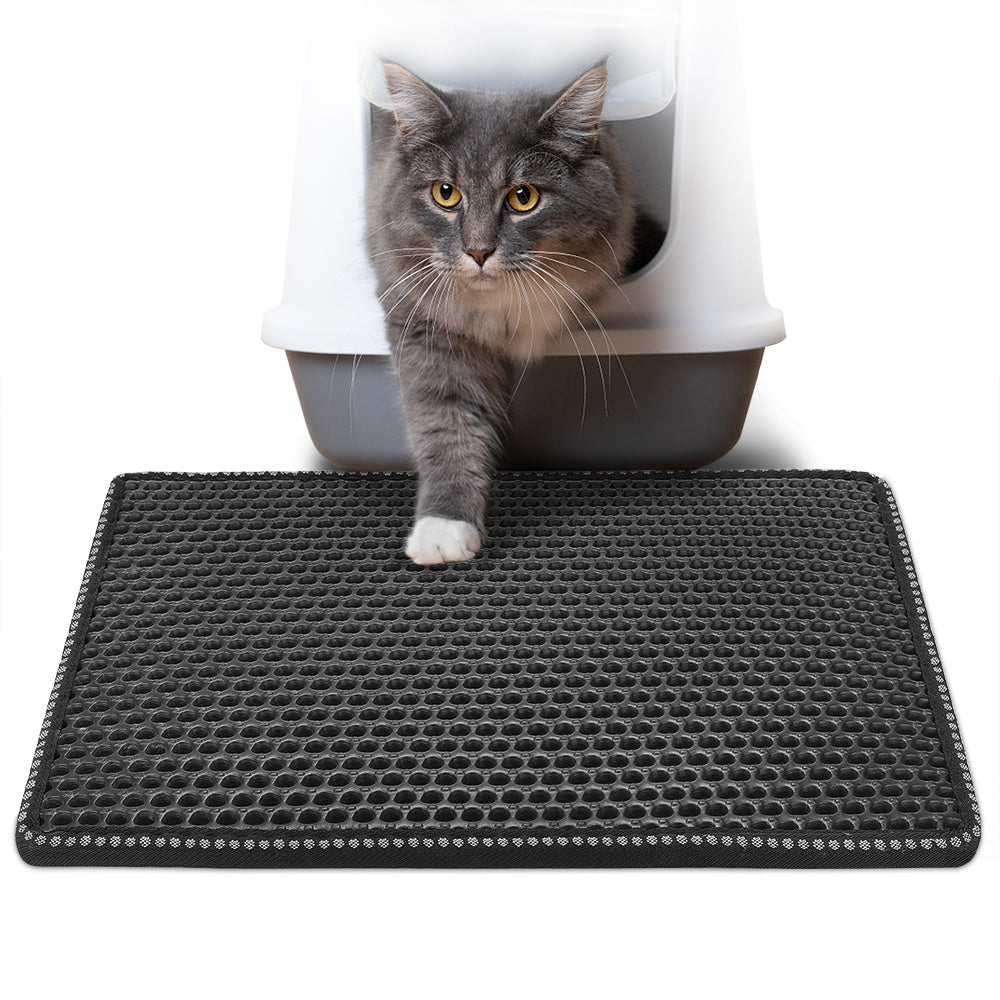 Full Care Kit — Complete Smart Pet Care Bundle