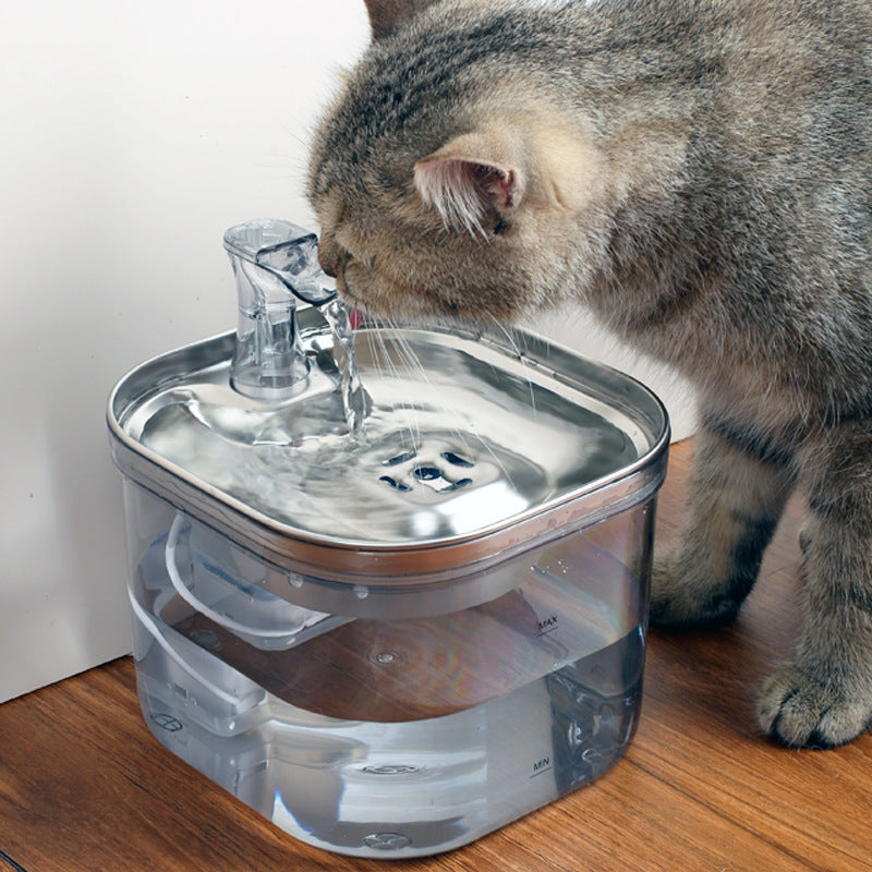 Cat drinking water from a clear pet water fountain on a wooden floor.