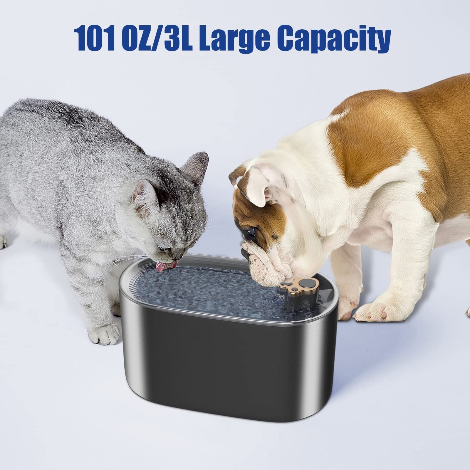 Cat and dog drinking from a large capacity pet water fountain on a light blue background.